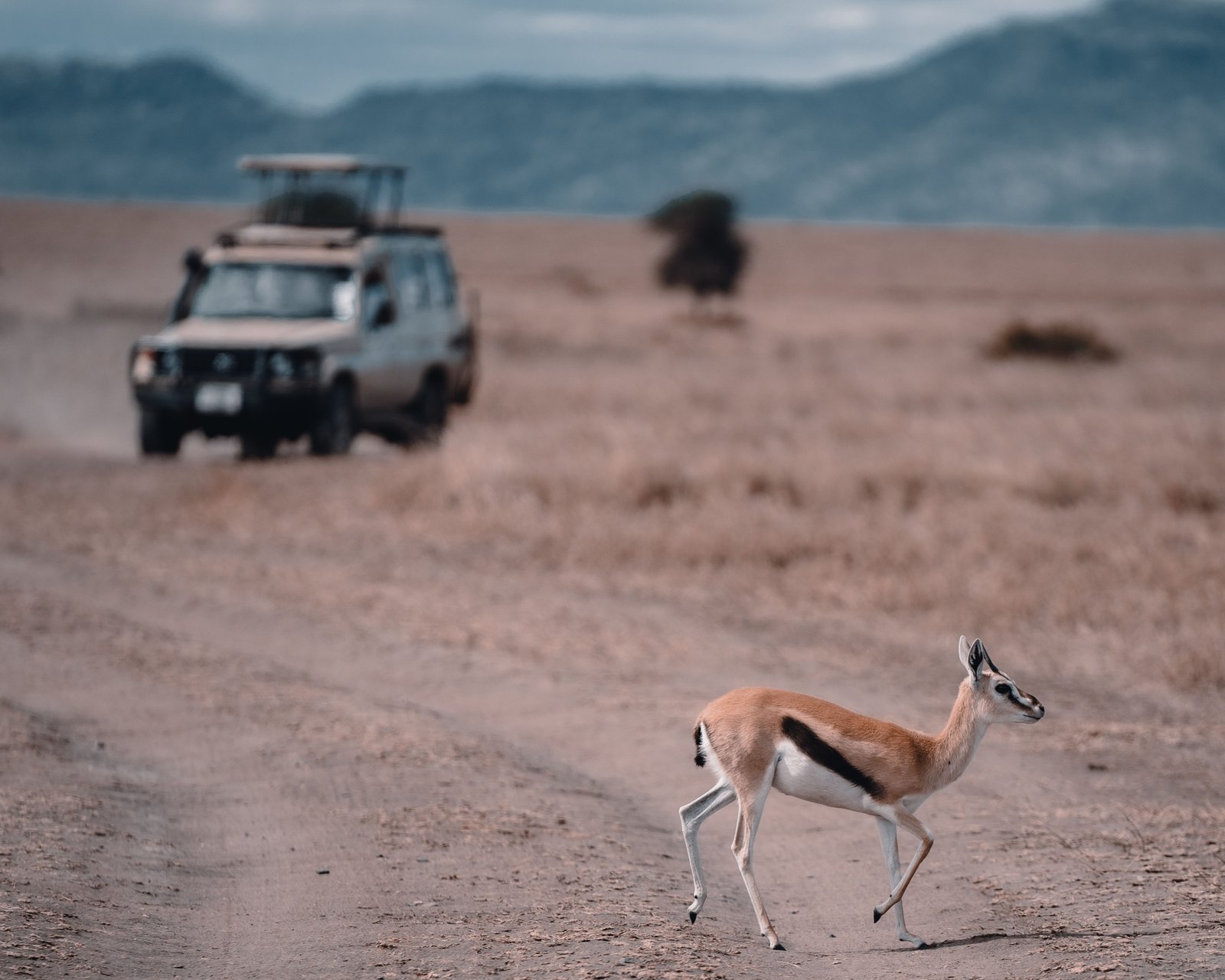 Travellers with their KiliRuta safari guide