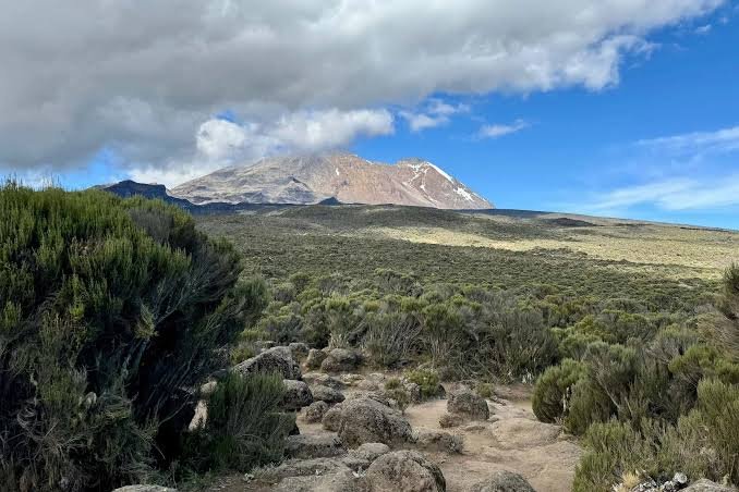 Trekkers on a Kilimanjaro camping route