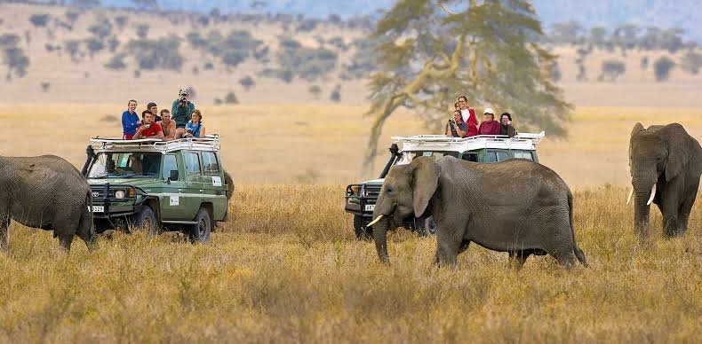 Ngorongoro highland and crater landscape
