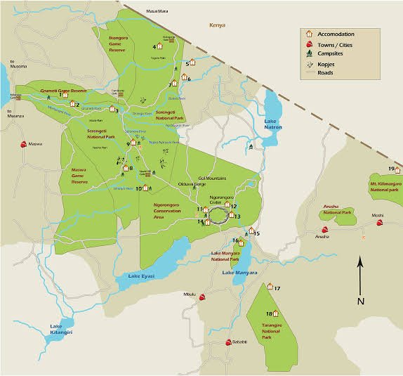 Northern Tanzania safari plains