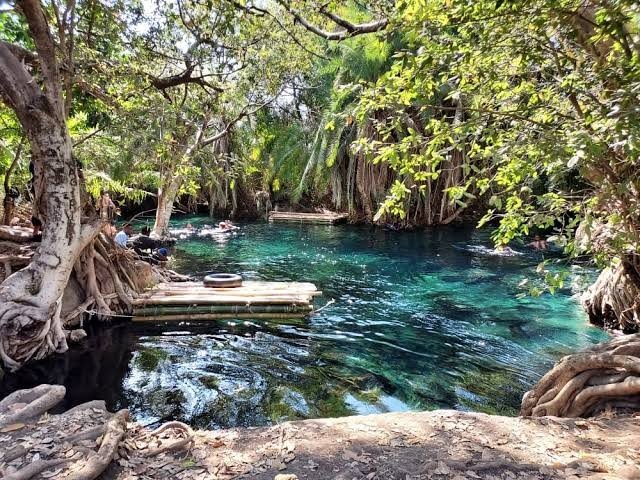 Clear water and tropical shade