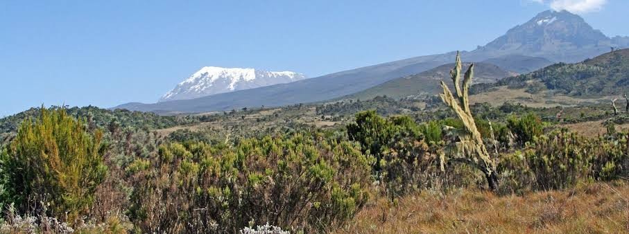Kilimanjaro mountain slopes