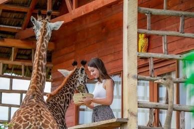 Hotel pickup for a Serval Wildlife eco-visit · Serval Wildlife Eco-Visit