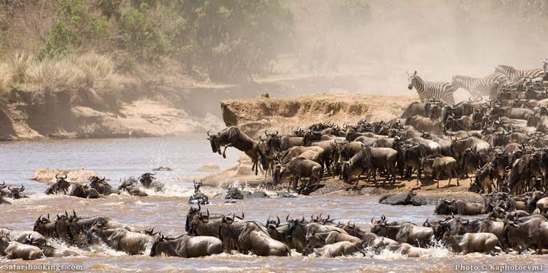 Open Serengeti plains under wide sky
