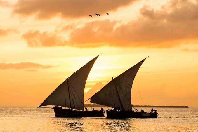 Palm-lined coast on Zanzibar