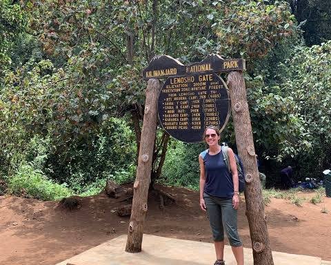 Gentle high-altitude trail on Kilimanjaro