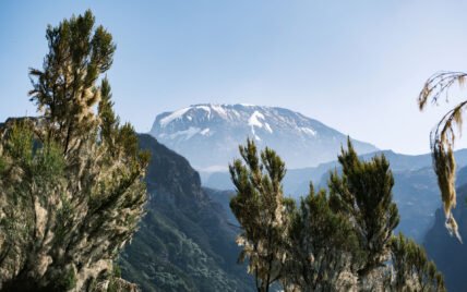 Trekkers on the Machame route
