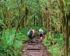 Expansive northern Kilimanjaro slopes