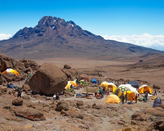 Rongai Gate to Simba Camp · Rongai Mawenzi Tarn Eco-Trek