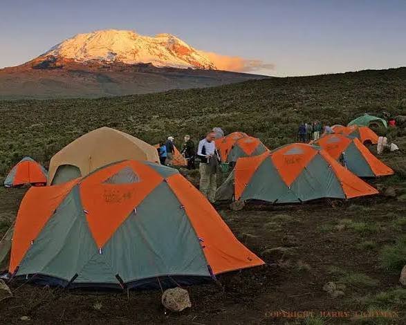 Open alpine plateau beneath Kilimanjaro