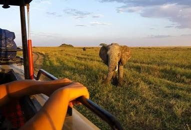 Safari and beach combination journey