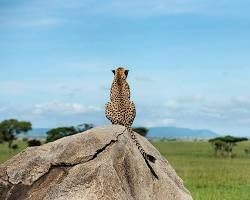 Combined safari and island holiday