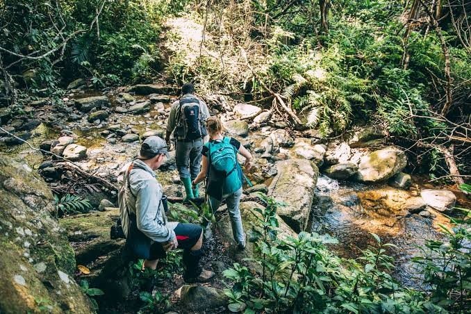 Trek and lake days · Mahale Primate Luxury Escape