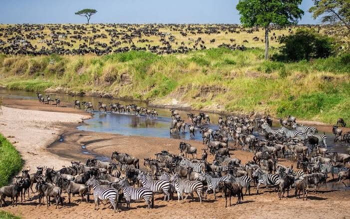Expansive safari horizon at dusk
