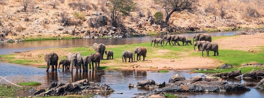 Southern or western wilderness · Ultimate Bucket-List Expedition
