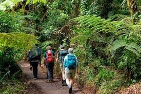 Depart · Rongai Trek and Ngorongoro