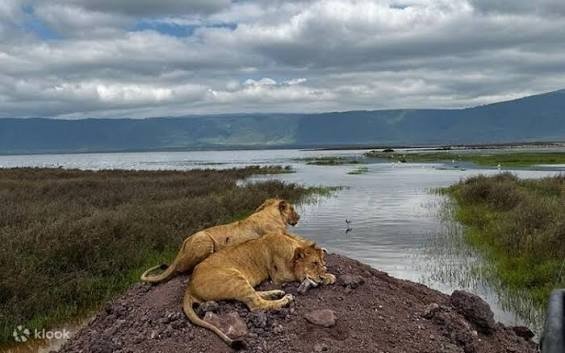 Ngorongoro Crater floor · Serengeti and Crater Highlights