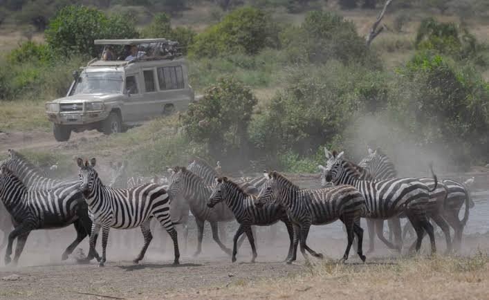 Ngorongoro highland landscape